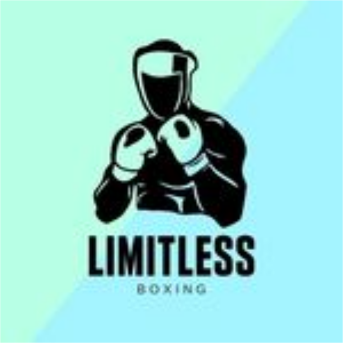 Limitless Boxing